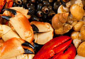 Seafood to increase potency in men